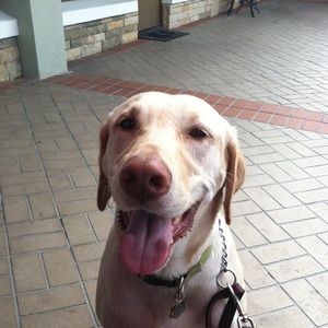 Meet your Posher, Michele